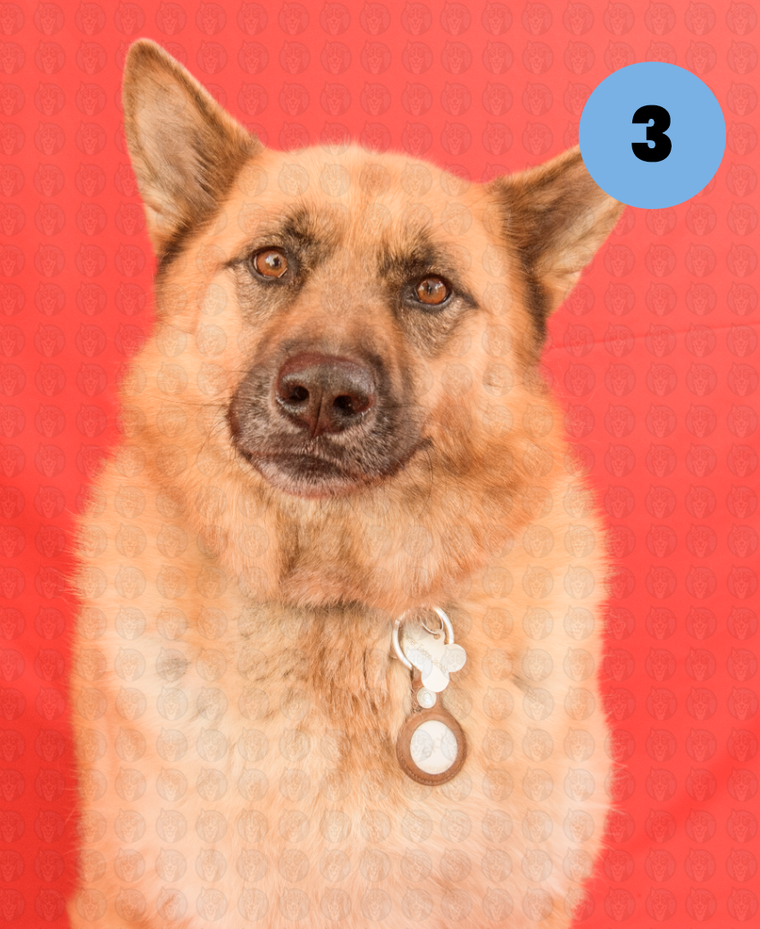 Screenshot 2025-12-10 at 2.55.33 PM copy.png