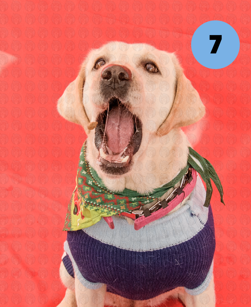 Photographer's Selects of Roxy and Molly Houston