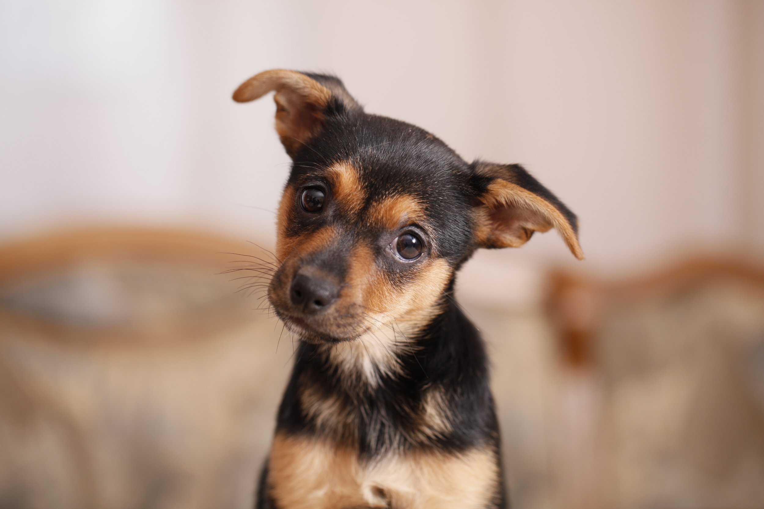 AdobeStock_64615651.jpeg