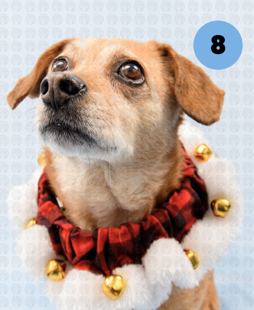 Screenshot 2025-12-16 at 9.49.53 AM copy.png