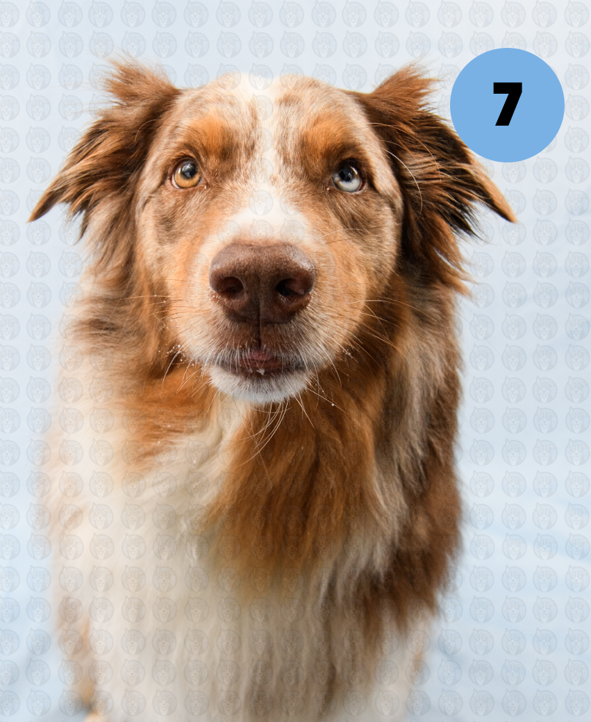 Screenshot 2025-12-16 at 9.55.02 AM copy.png