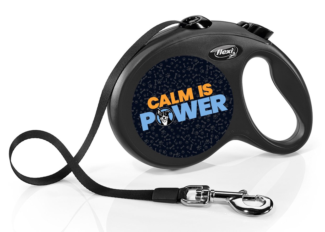 Flexi Retractable Leash with High-Vis Message