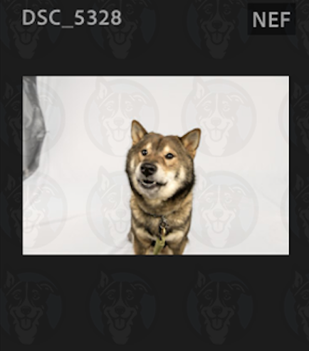 Screenshot 2025-01-28 at 7.49.20 AM.png