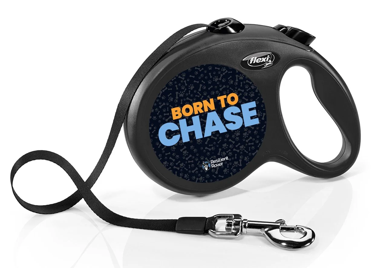 Flexi Retractable Leash with High-Vis Message