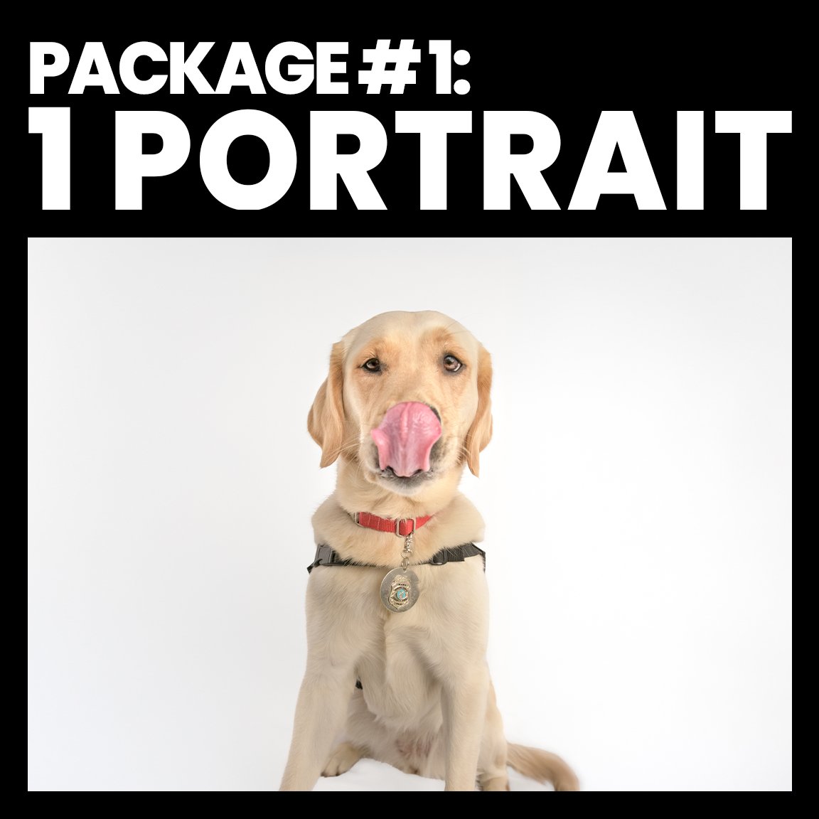 __Package 1 Cover.jpg