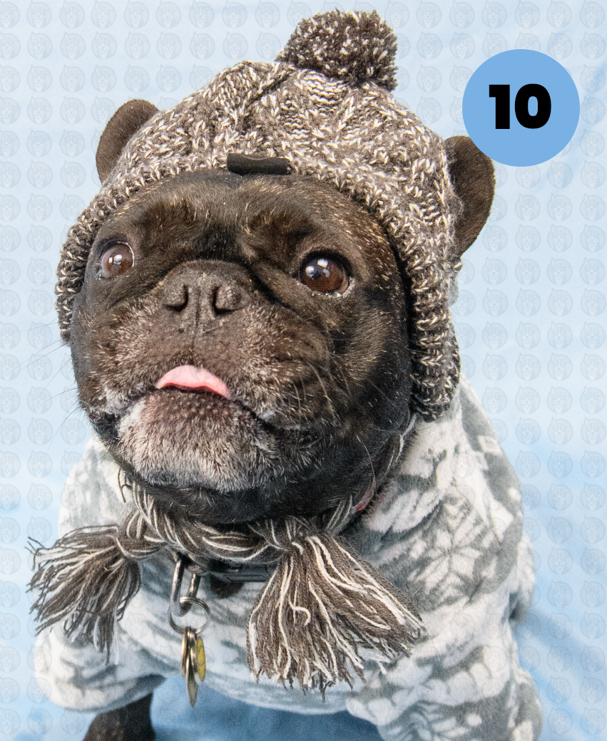 Screenshot 2025-12-16 at 10.02.23 AM copy.png