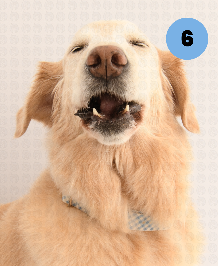 Screenshot 2025-09-30 at 9.17.16 AM copy.png