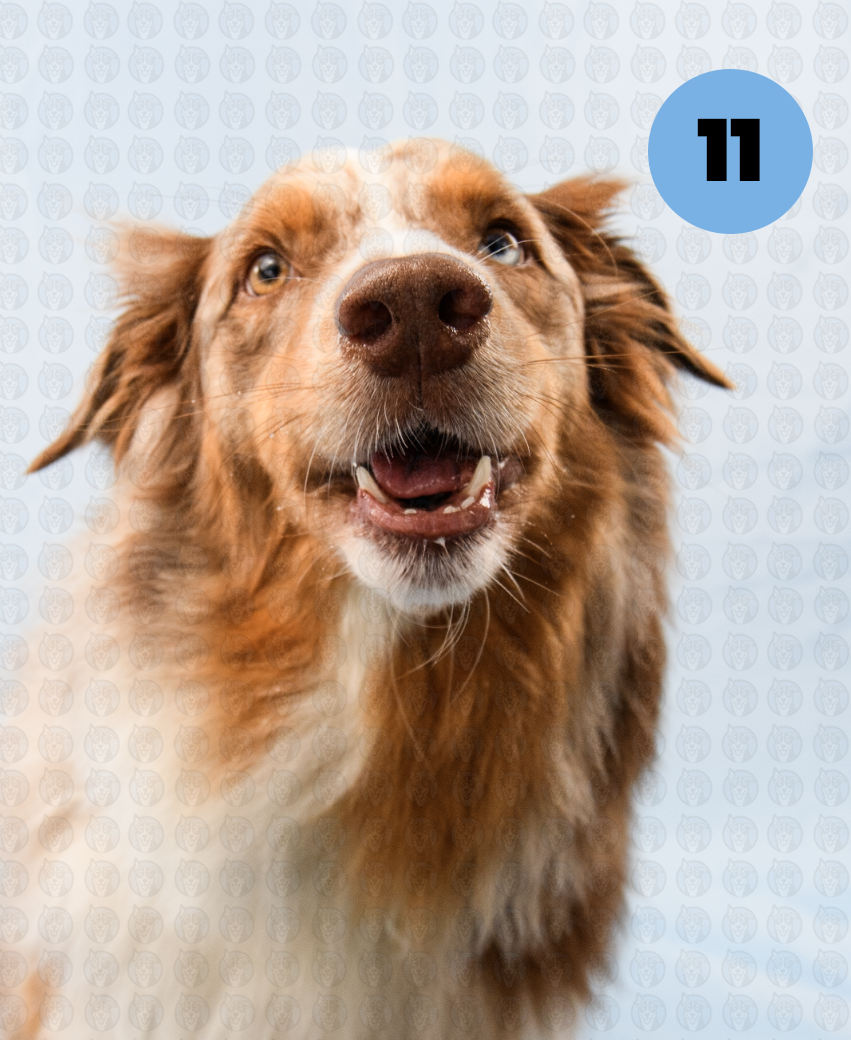 Screenshot 2025-12-16 at 9.55.22 AM copy.png