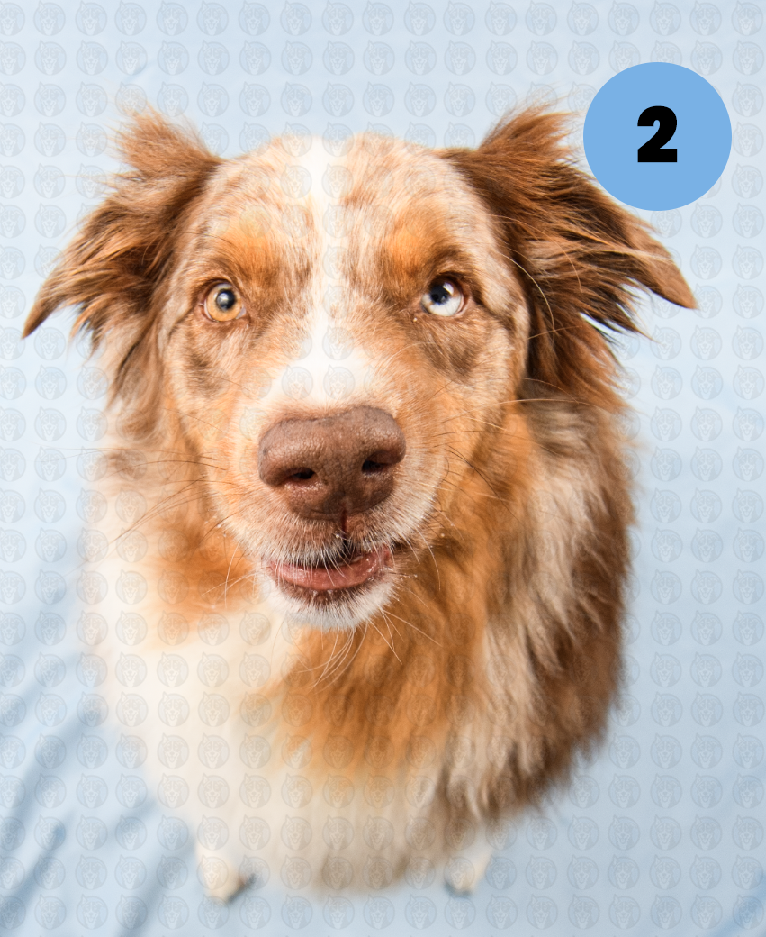 Screenshot 2025-12-16 at 9.54.18 AM copy.png