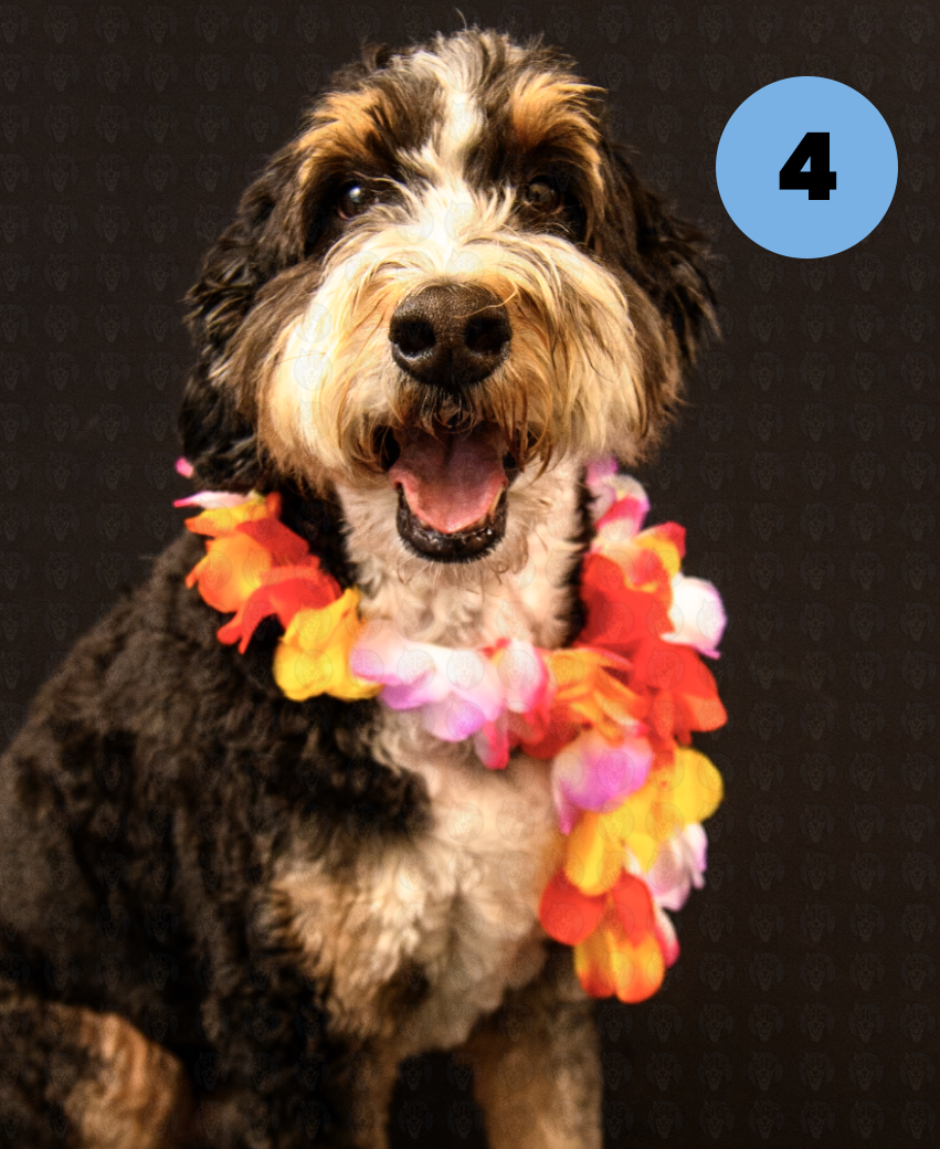 Screenshot 2025-10-24 at 2.49.55 PM copy.png