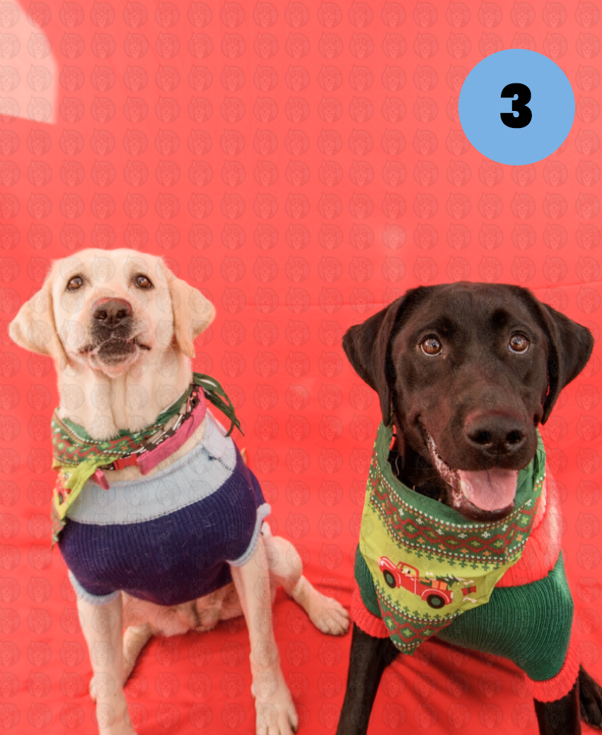 Photographer's Selects of Roxy and Molly Houston