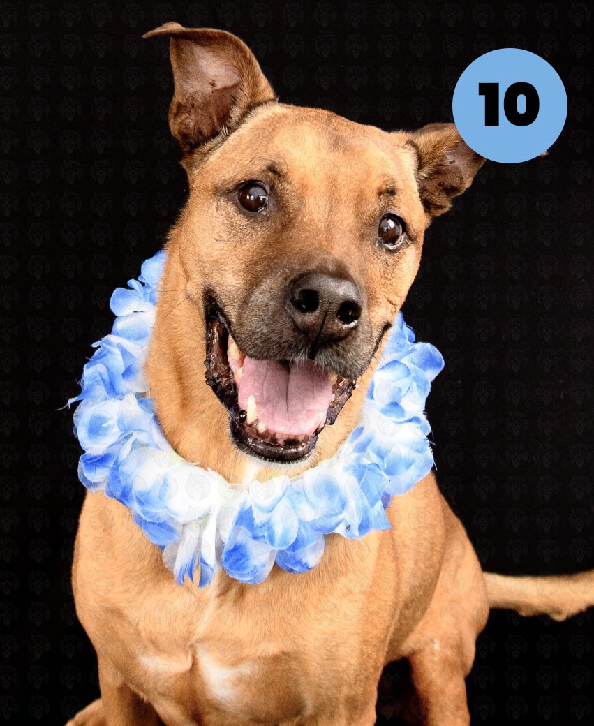 Screenshot 2025-10-27 at 8.46.11 AM copy.png