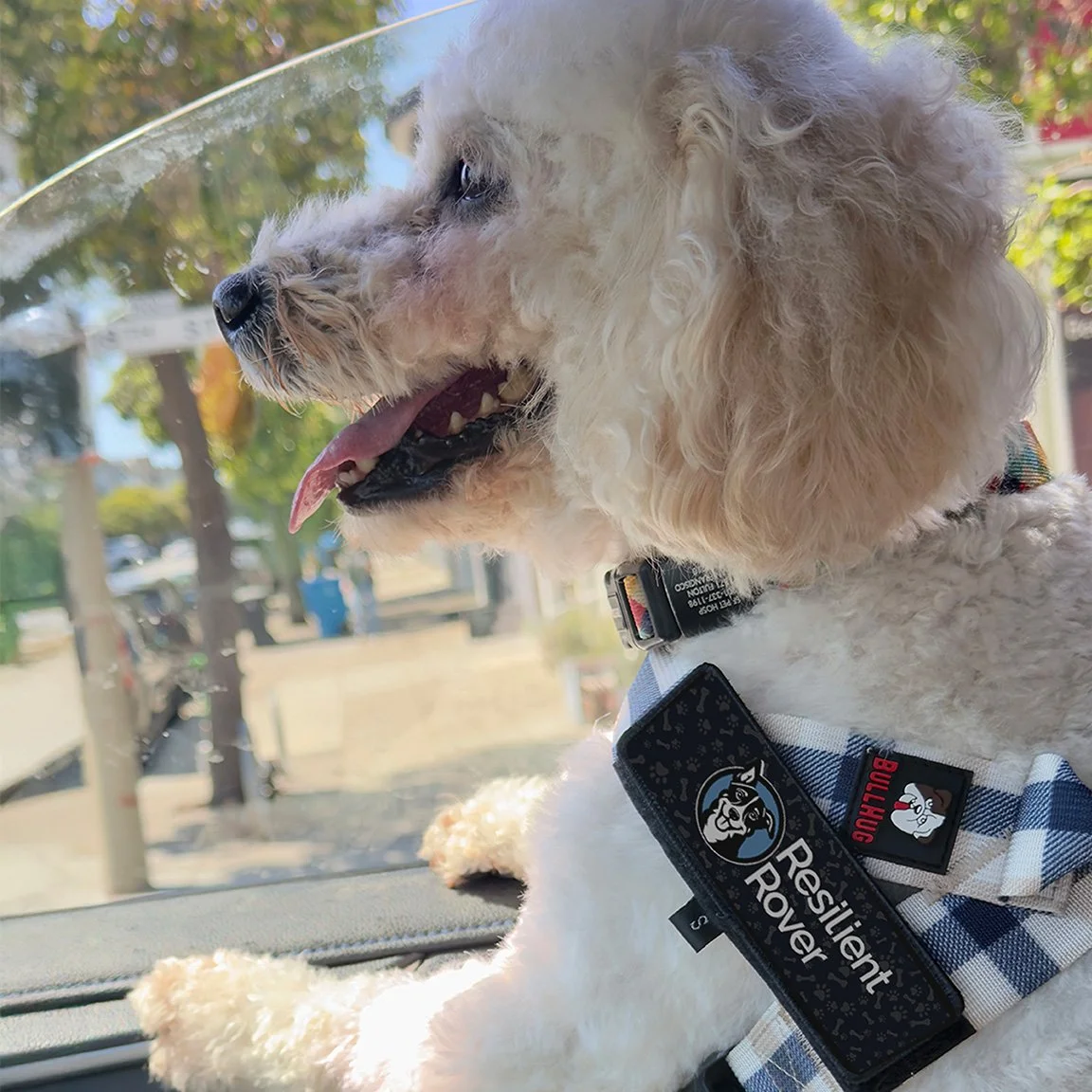 Pattern Print Customizable Harness from Bullhug