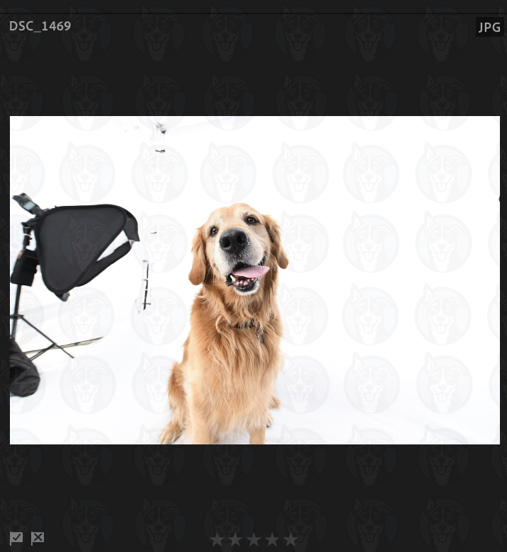 Screenshot 2025-02-26 at 2.46.06 PM copy.png