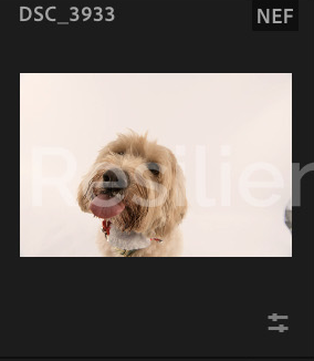Screenshot 2024-12-18 at 8.50.21 AM.png