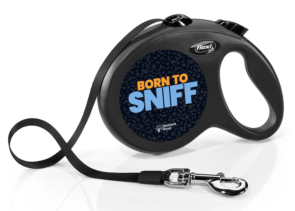 Flexi Retractable Leash with High-Vis Message