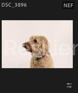 Screenshot 2024-12-18 at 8.49.45 AM.png