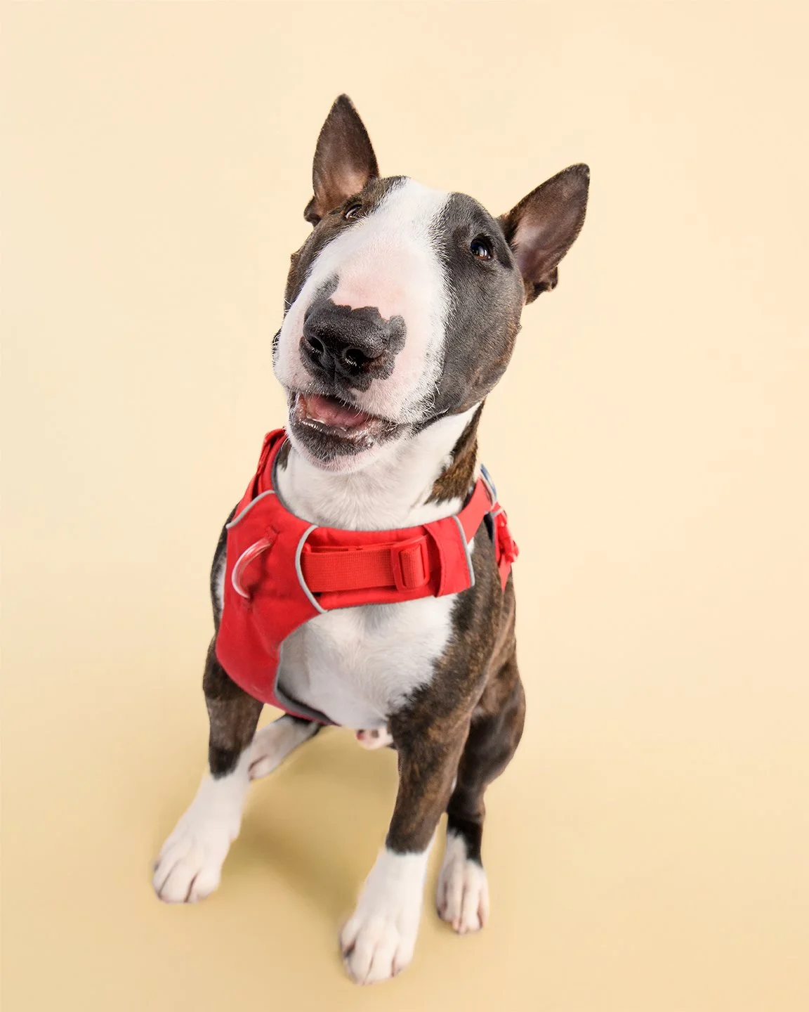 Bonk Portrait_16-20_Lo.jpg
