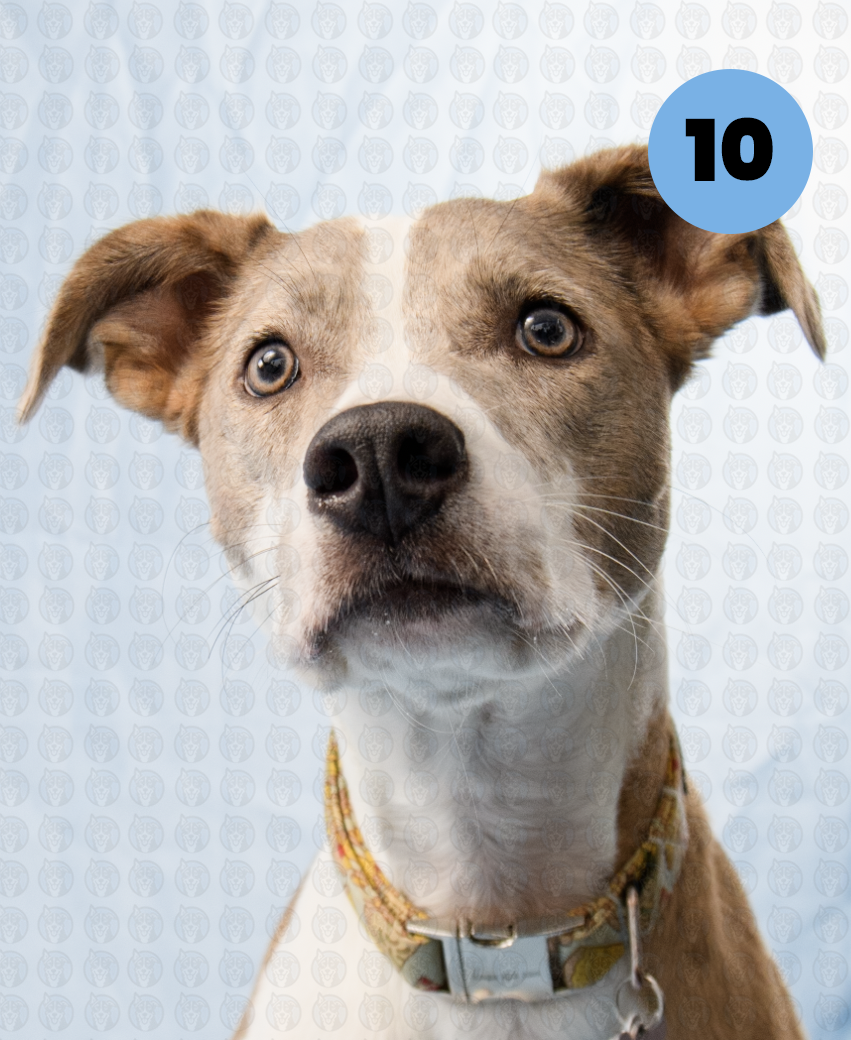 Screenshot 2025-12-16 at 9.46.09 AM copy.png