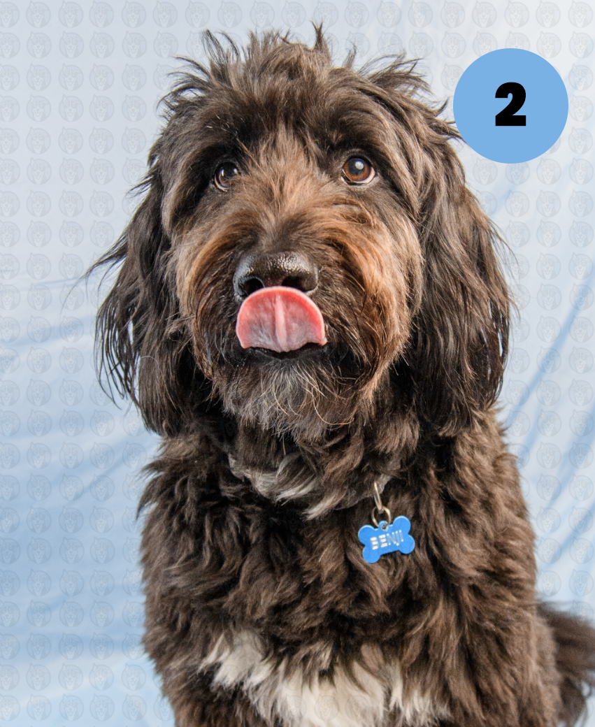 Screenshot 2025-12-22 at 7.01.42 AM copy.png