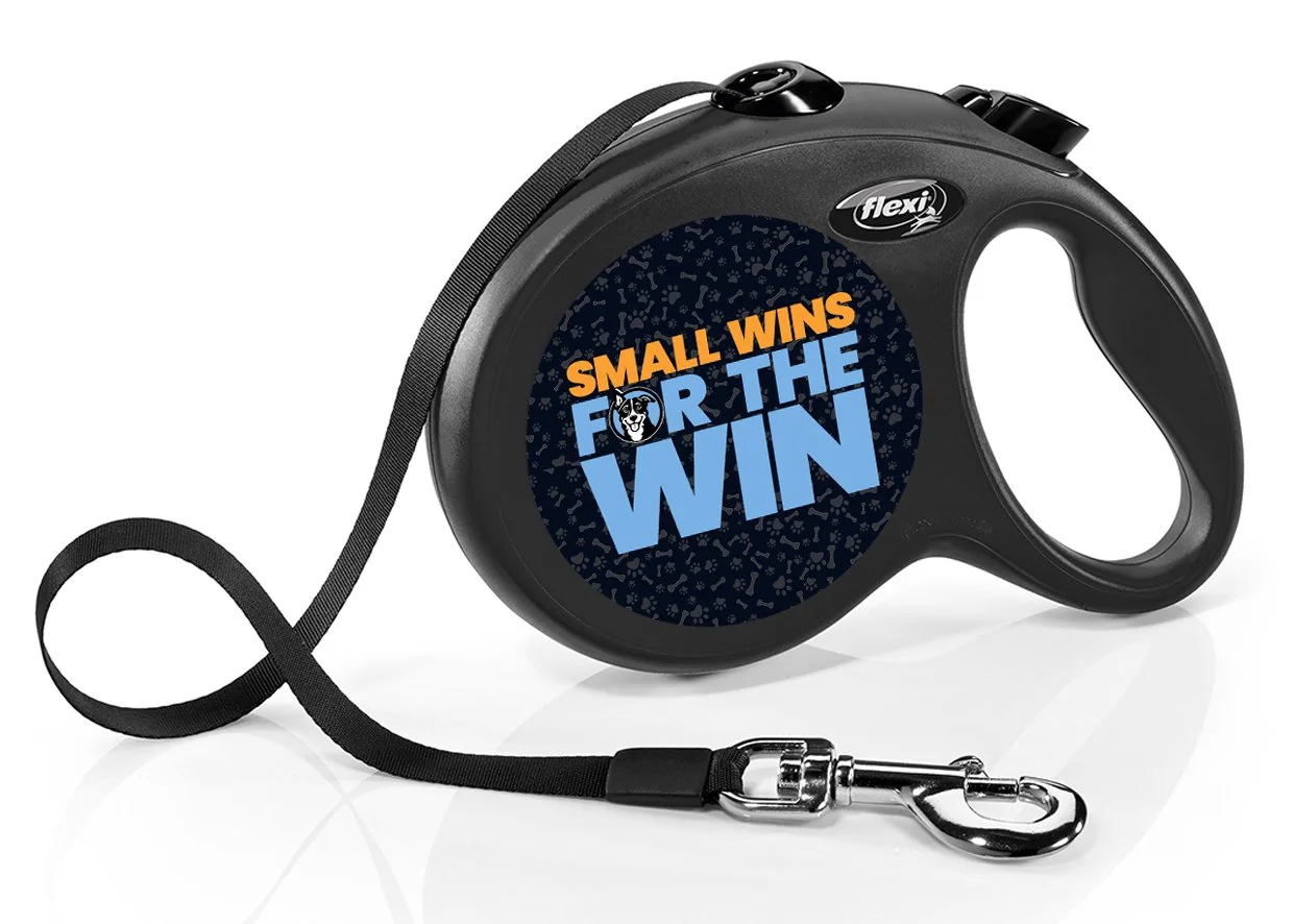 Flexi Retractable Leash with High-Vis Message