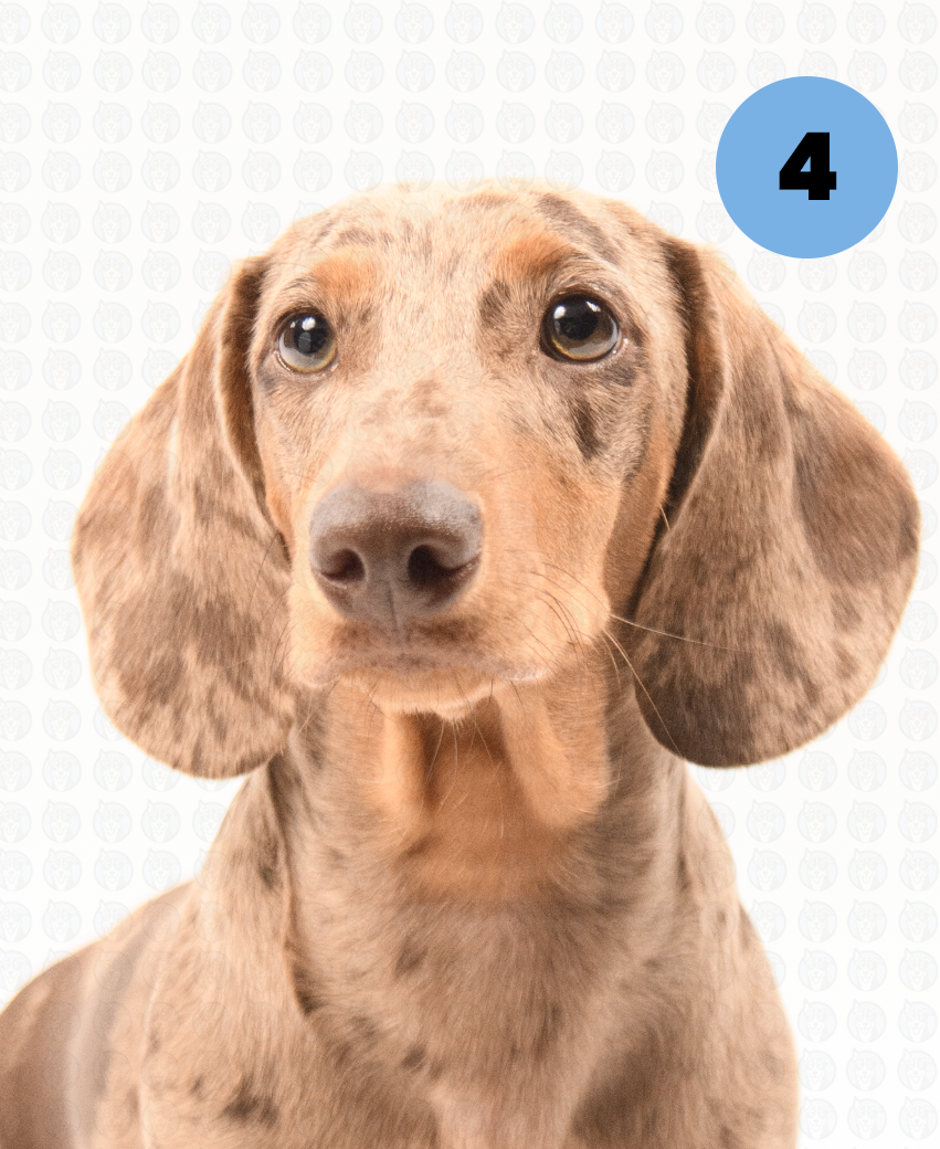 Screenshot 2025-09-30 at 9.10.09 AM copy.png