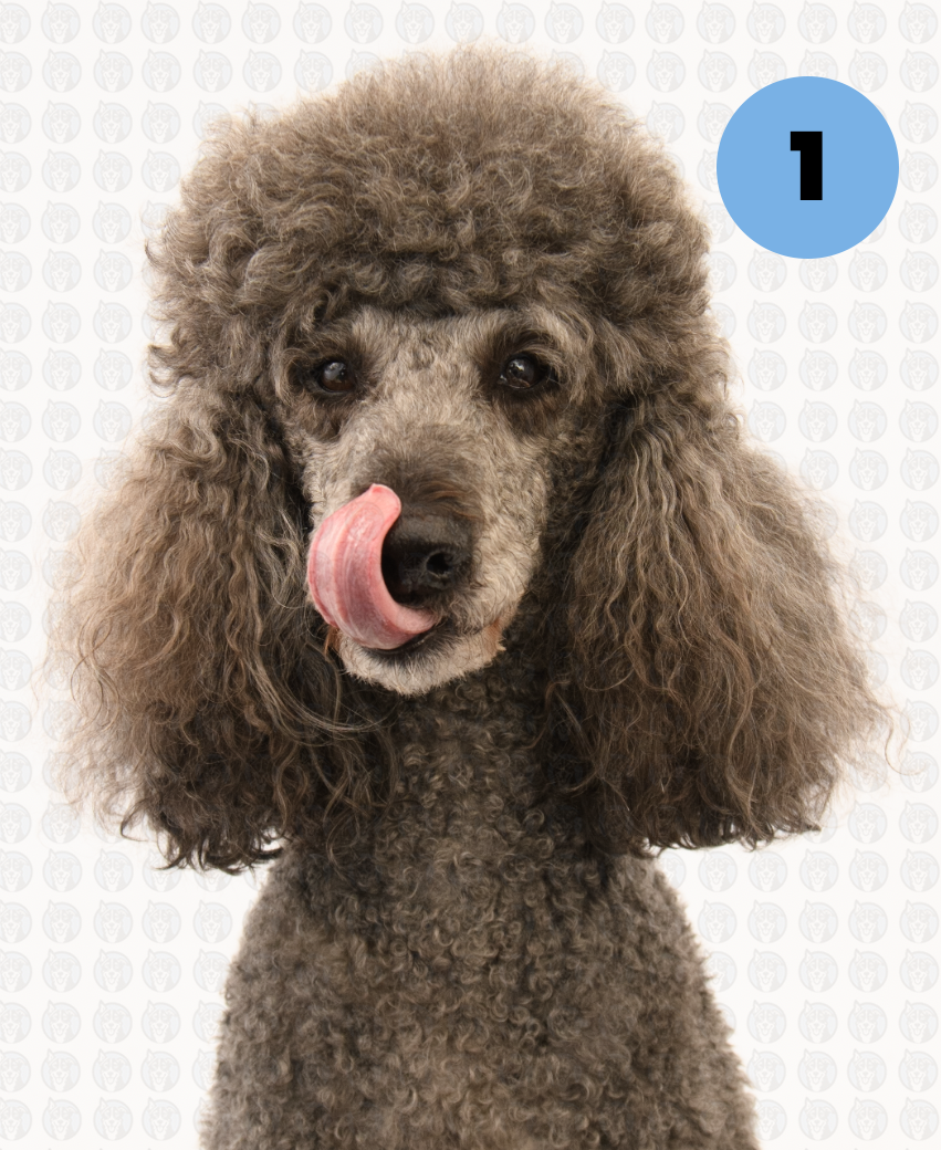 Photographer's Selects of Eliza Piehler