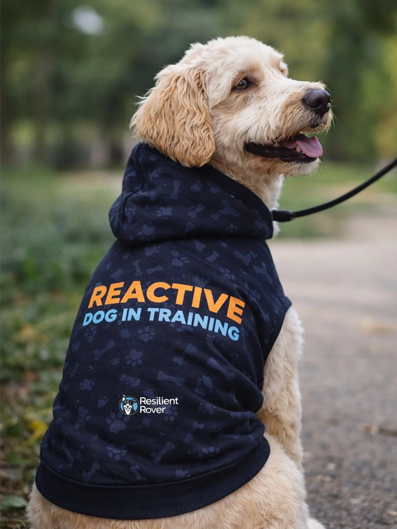 Reactive Hoodie Lifestyle.jpg