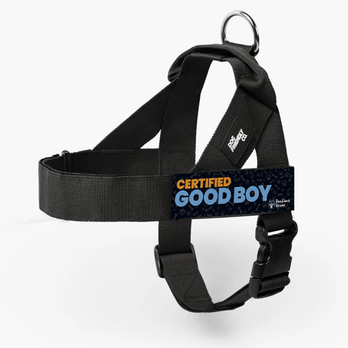 Certified Good Boy.png