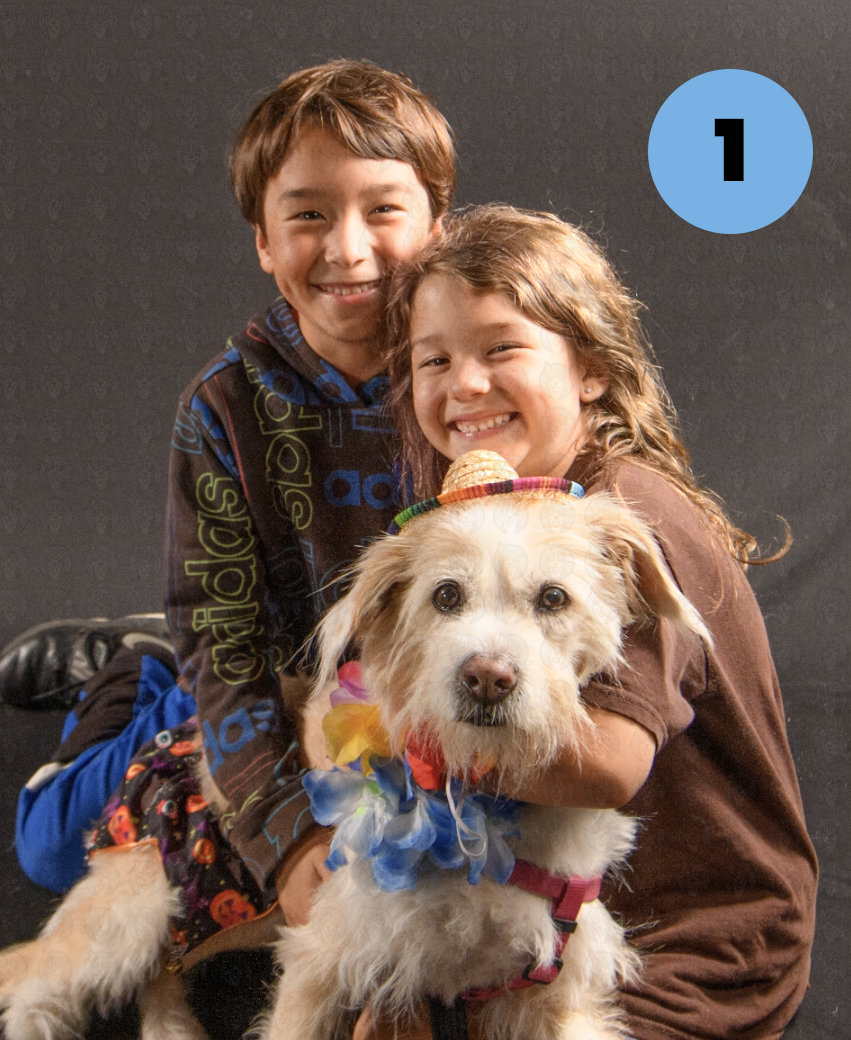 Screenshot 2025-10-23 at 1.13.59 PM copy.png