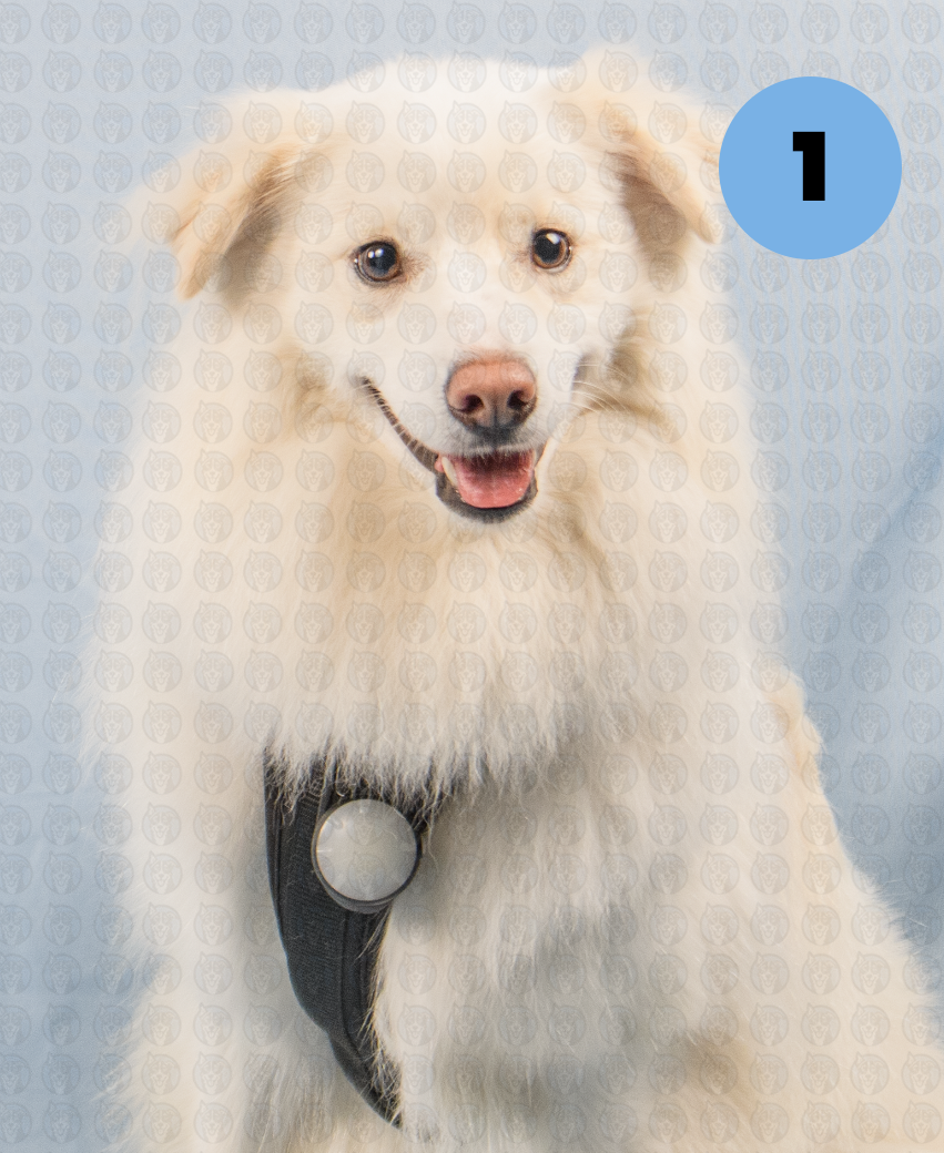 Screenshot 2025-12-22 at 7.12.07 AM copy.png