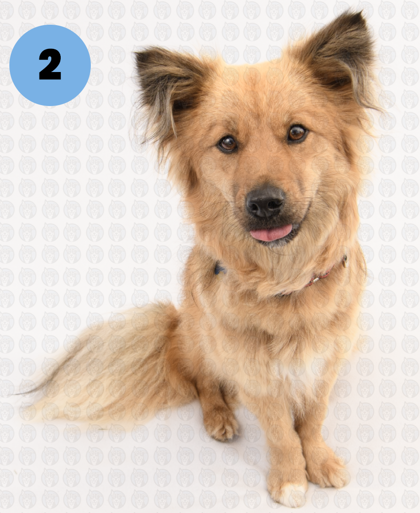 Photographer's Selects of Sammy Steckler