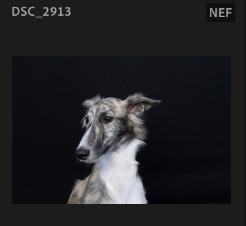 Screenshot 2024-10-29 at 8.20.42 AM.png