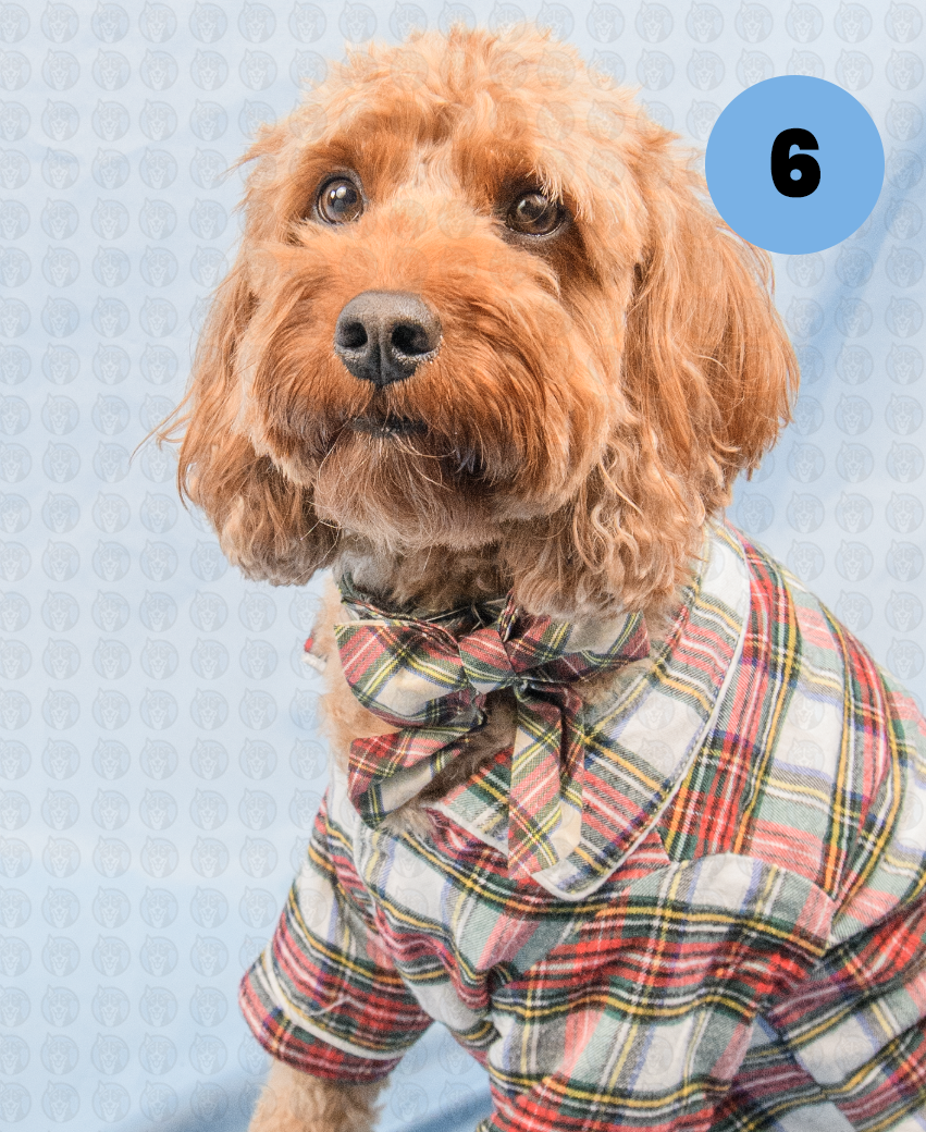 Screenshot 2025-12-22 at 7.08.14 AM copy.png