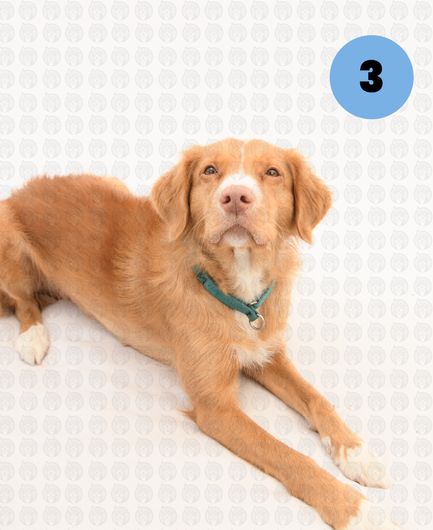 Screenshot 2026-01-12 at 11.35.22 AM copy.png