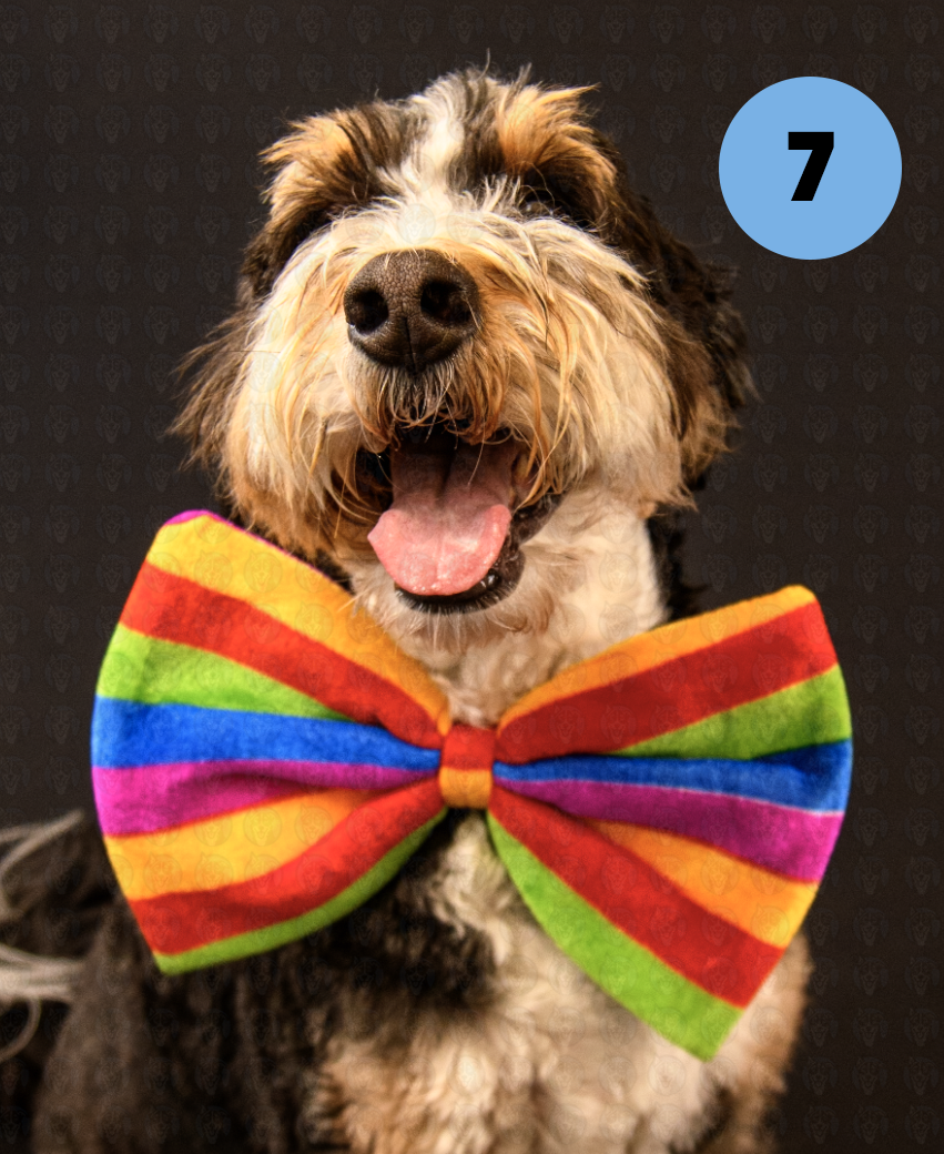 Screenshot 2025-10-24 at 2.50.06 PM copy.png