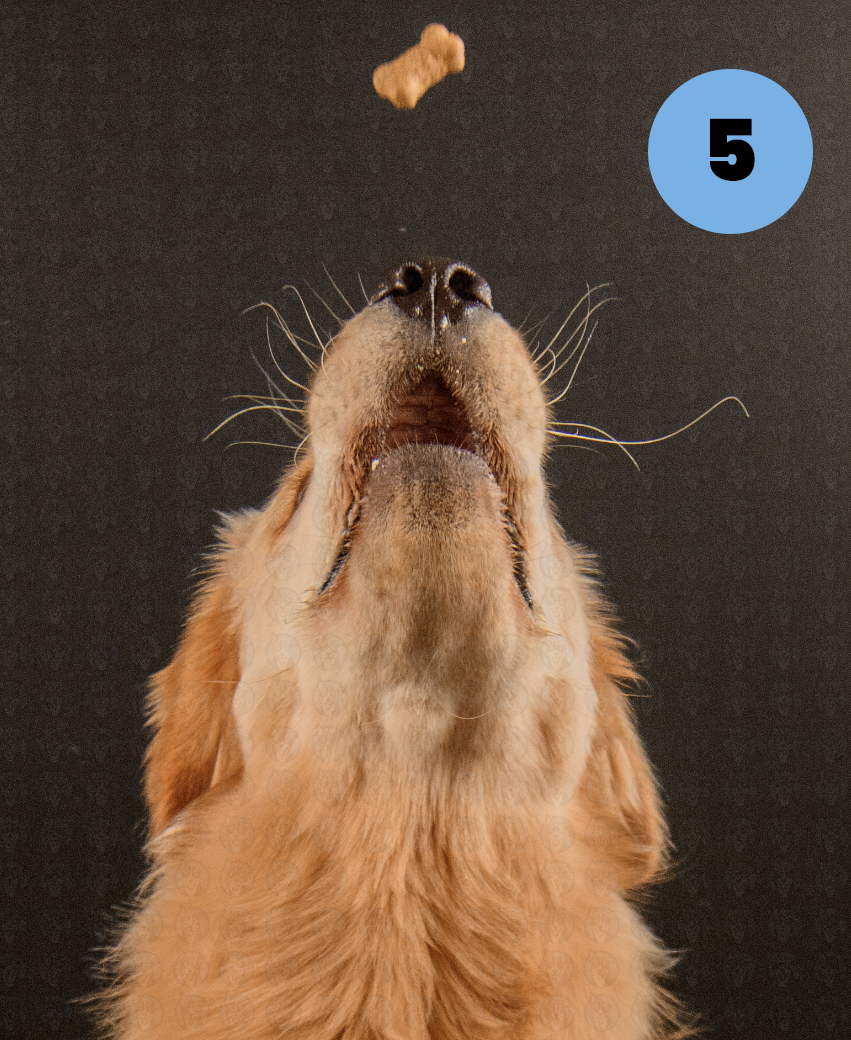 Screenshot 2025-11-09 at 7.43.21 AM copy.png