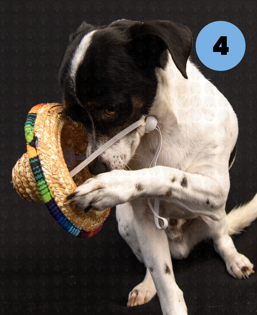 Screenshot 2025-10-24 at 1.17.43 PM copy.png