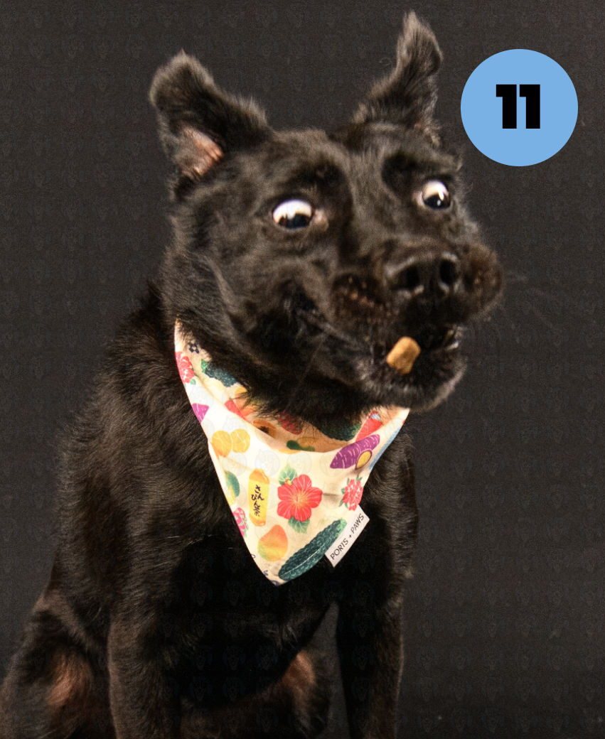 Screenshot 2025-10-23 at 1.12.51 PM copy.png