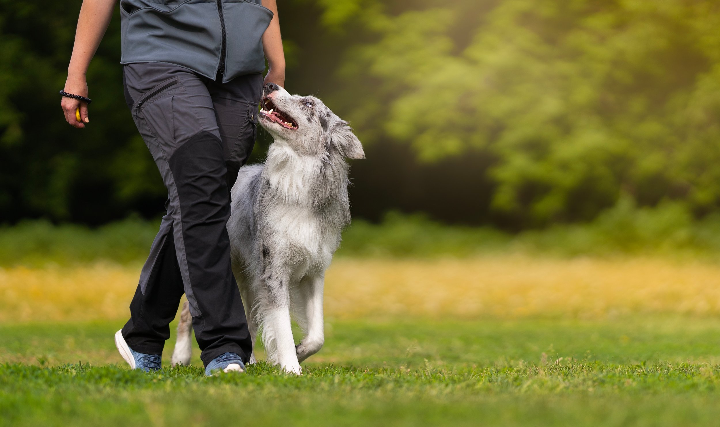 AdobeStock_755647560.jpeg