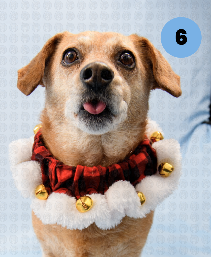 Photographer's Selects of Dundee Hoch