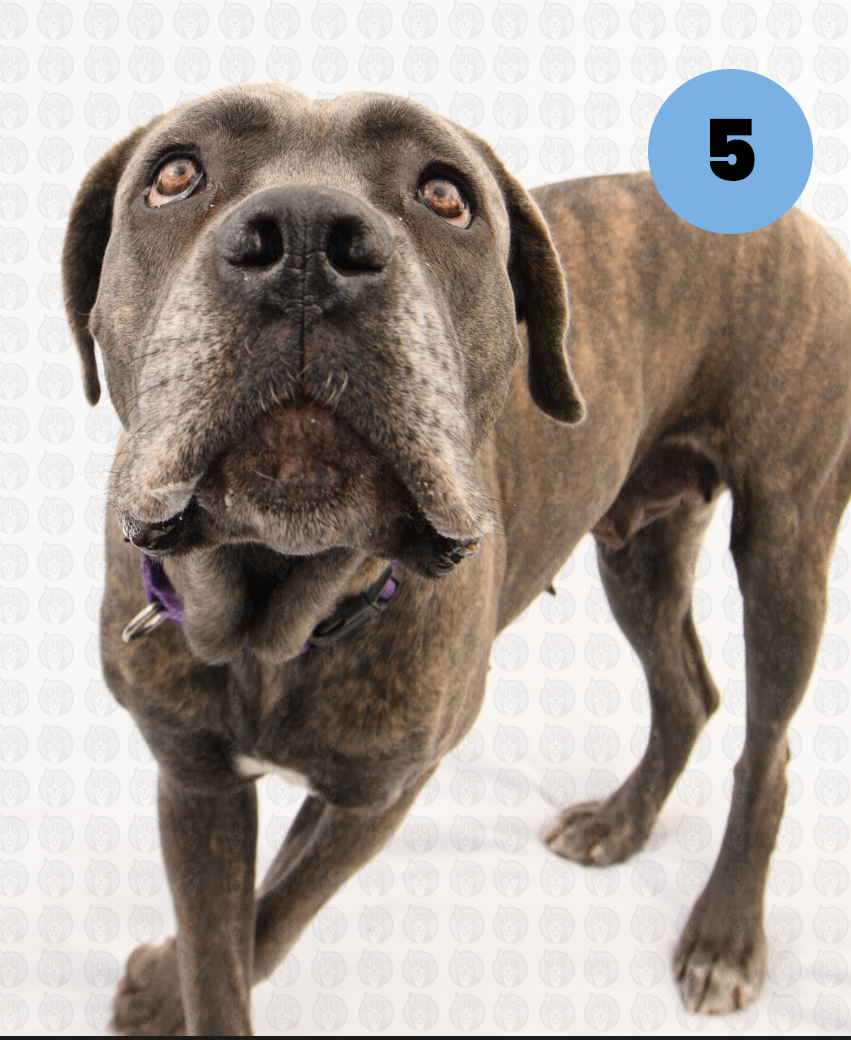 Screenshot 2026-01-12 at 11.53.22 AM copy.png