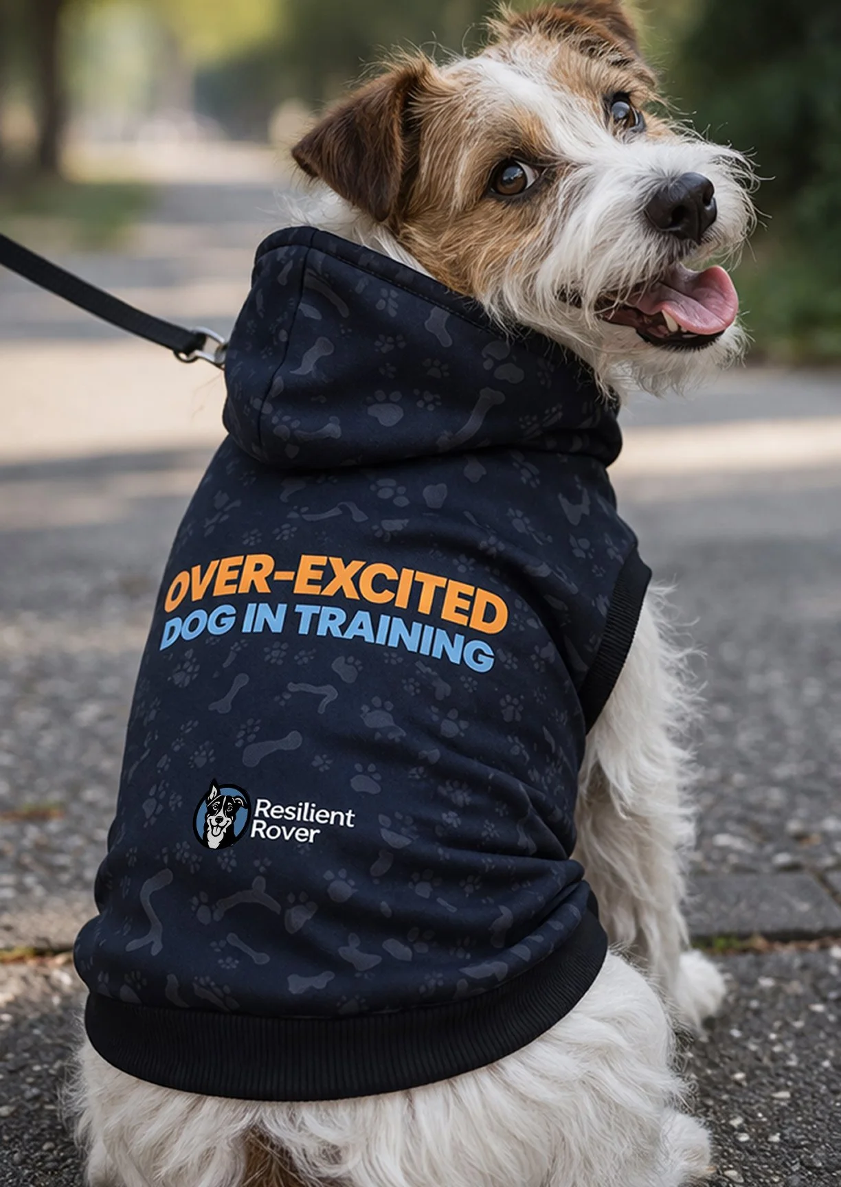 Over Excited Hoodie Lifestyle.jpg