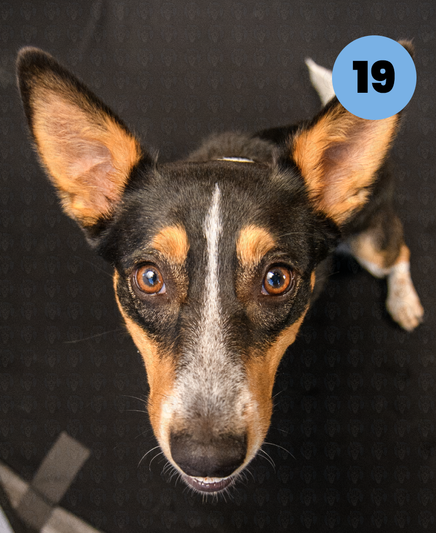 Screenshot 2025-10-23 at 1.43.24 PM copy.png