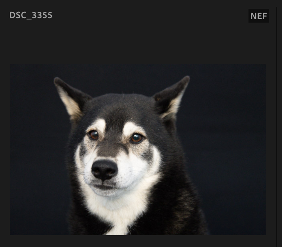 Screenshot 2024-10-28 at 11.46.52 AM.png