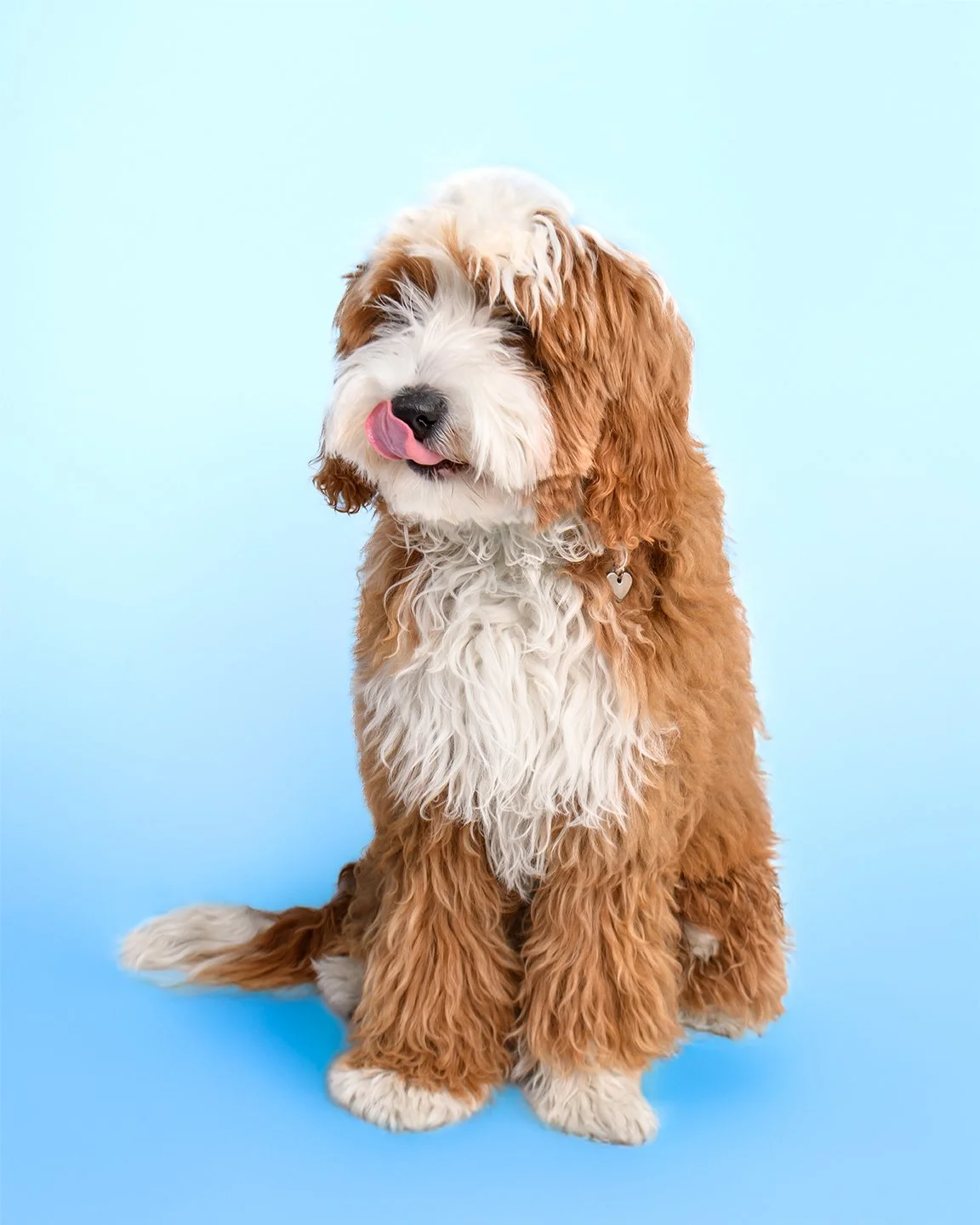 Momo Portrait_16-20_Lo.jpg