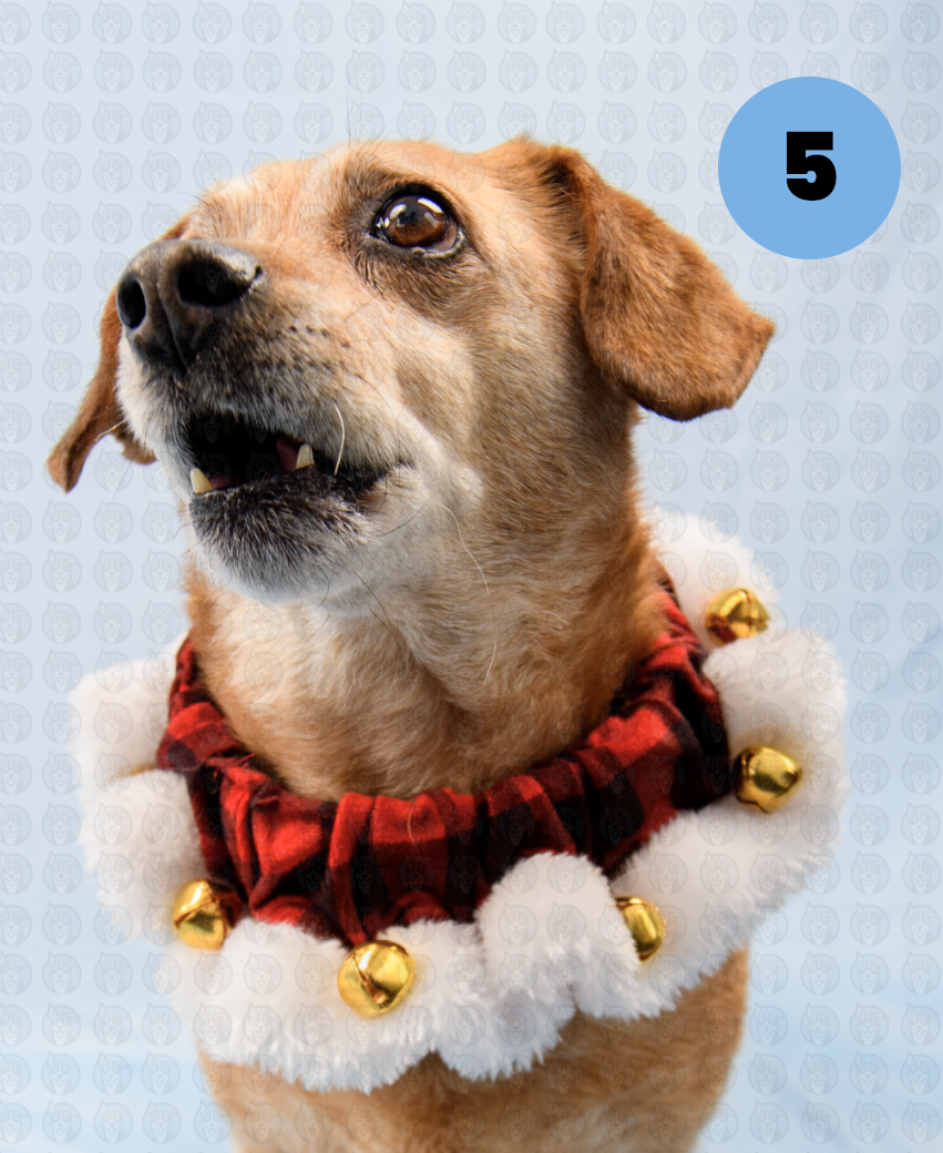 Screenshot 2025-12-16 at 9.49.28 AM copy.png