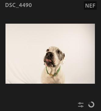 Screenshot 2024-12-24 at 7.24.10 AM.png