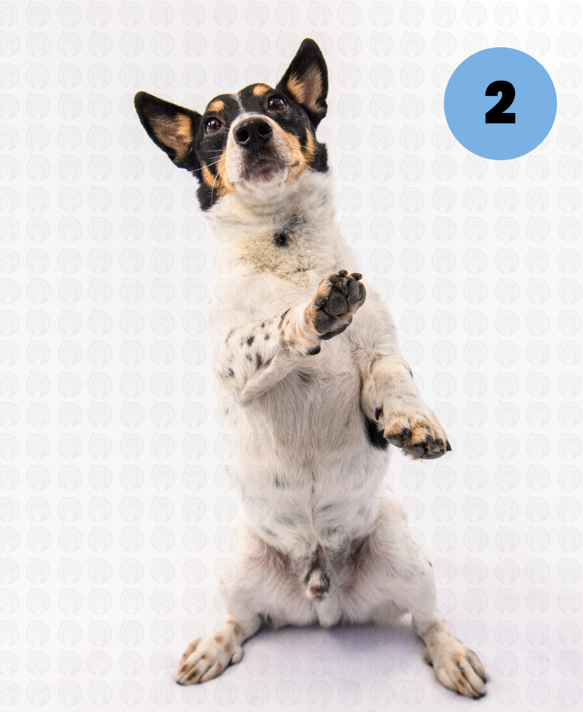 Photographer's Selects of Bolton Tinajero Daz