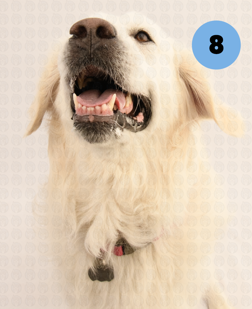 Screenshot 2025-09-30 at 9.09.11 AM copy.png